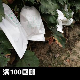 葡萄代子套果袋水果套袋纸套果子的袋子果树葡萄袋子防鸟防虫袋批