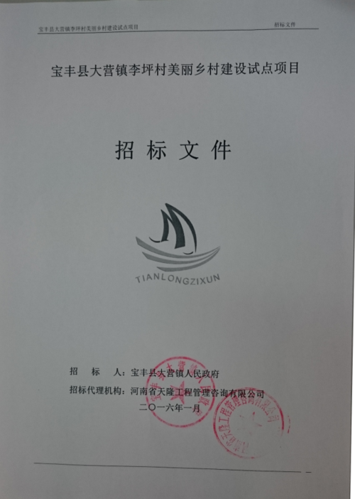 宝丰县大营镇人民政府关于宝丰县大营镇李坪村美丽乡村建设试点项目