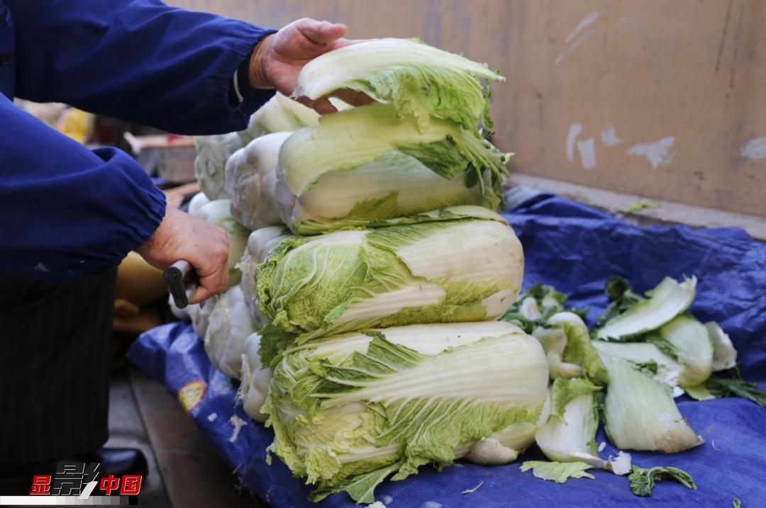 冬储大白菜点燃黑土地人们的热情