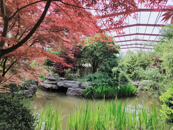 常州丁塘河湿地公园_湿地公园_逛公园_出行_人文风光