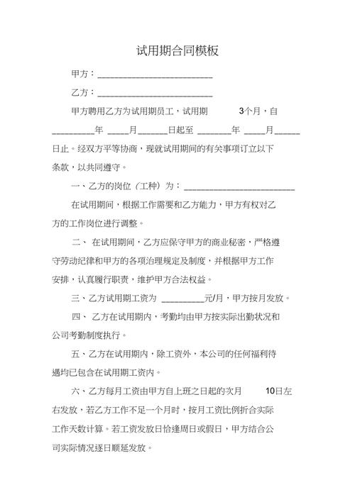 (完整word版)试用期合同模板