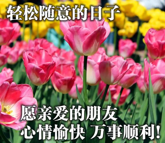 祝福相伴的早安动态表情包每日最新早上好动态祝福图片