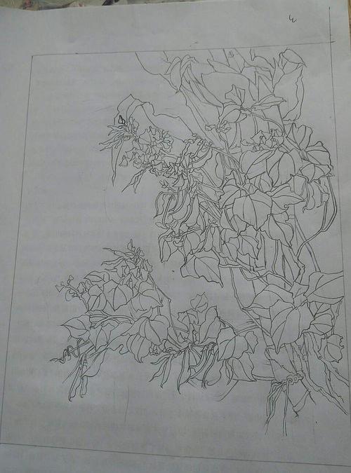 工笔《春华秋实》