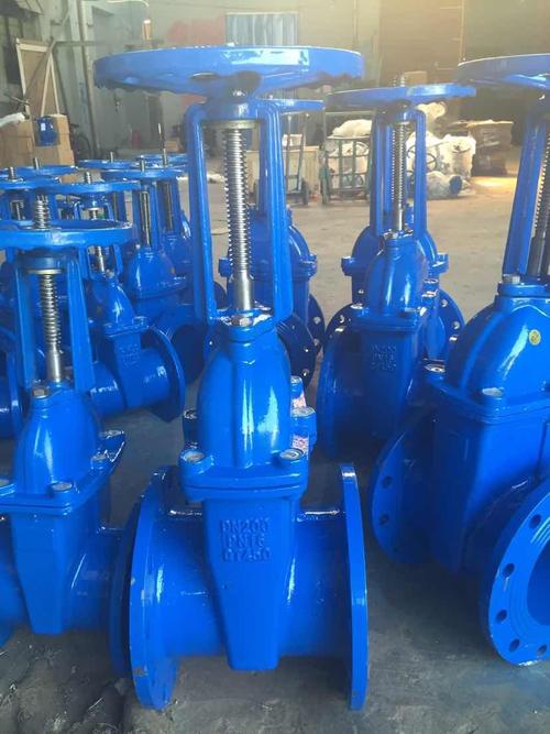 厂家批发 z41x明杆软密封闸阀 给排水专用 球墨铸铁阀门dn100