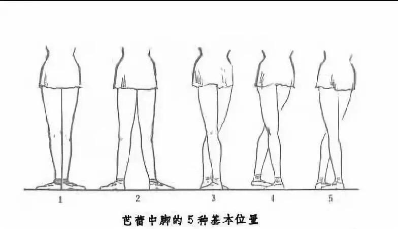 芭蕾基本手位和脚位图解
