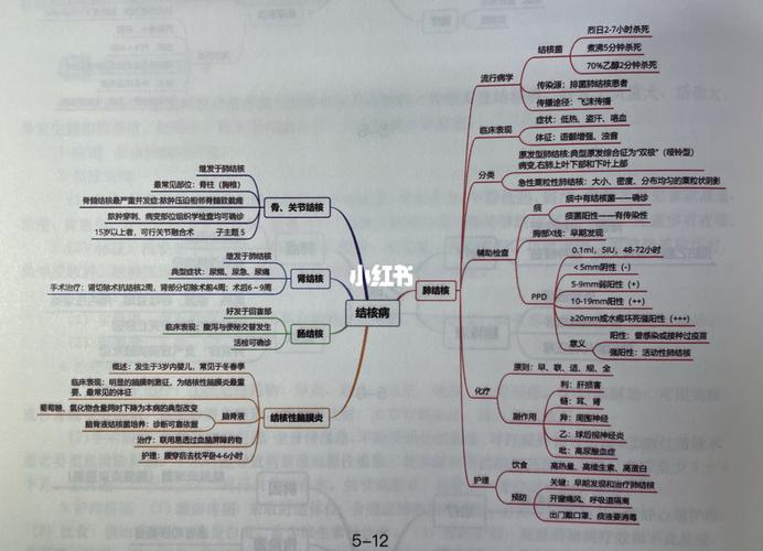 2021护考传染病思维导图_护考_教育_职业培训