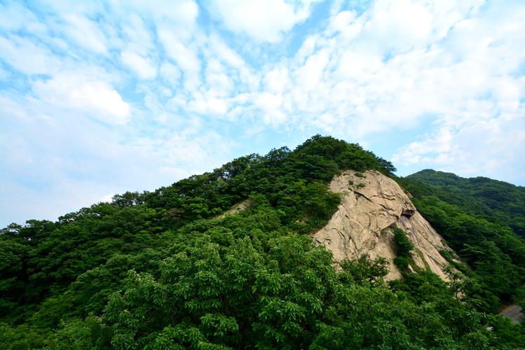 【千山之恋摄影图片】桐柏山风光摄影_幽谷逸竹_太平洋电脑网摄影部落