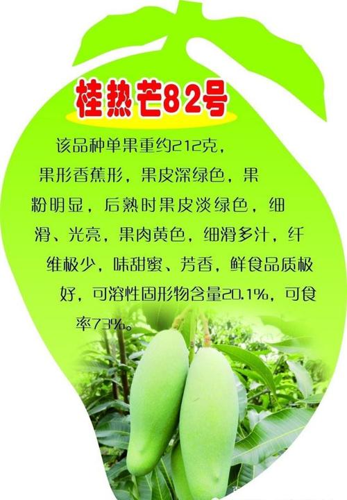 假如百色芒果有班级