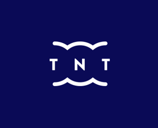 tnt公司logo设计欣赏&公司vi设计案例欣赏