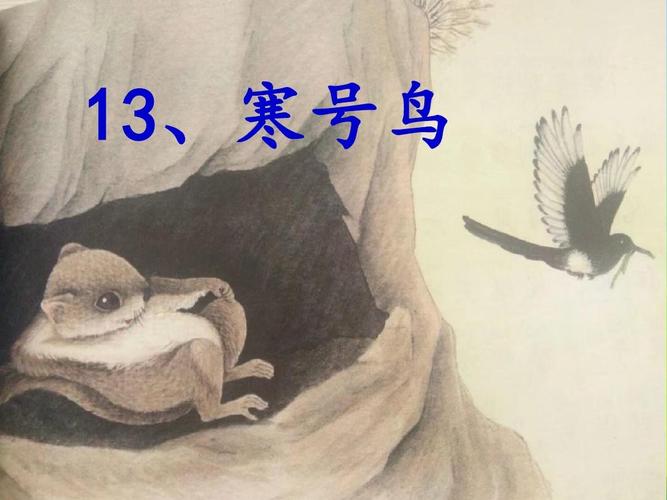 部编版人教版二年级语文上册二上《寒号鸟》课件ppt