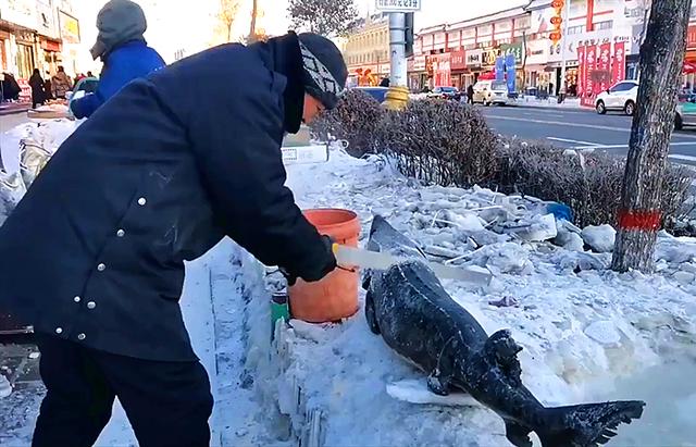 东北零下37度,卖鱼是个"木匠活",要会用锯,网友:开眼界了