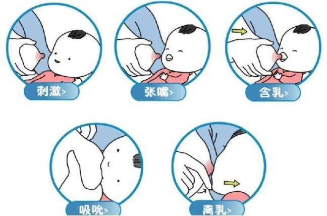 正确的含接姿势