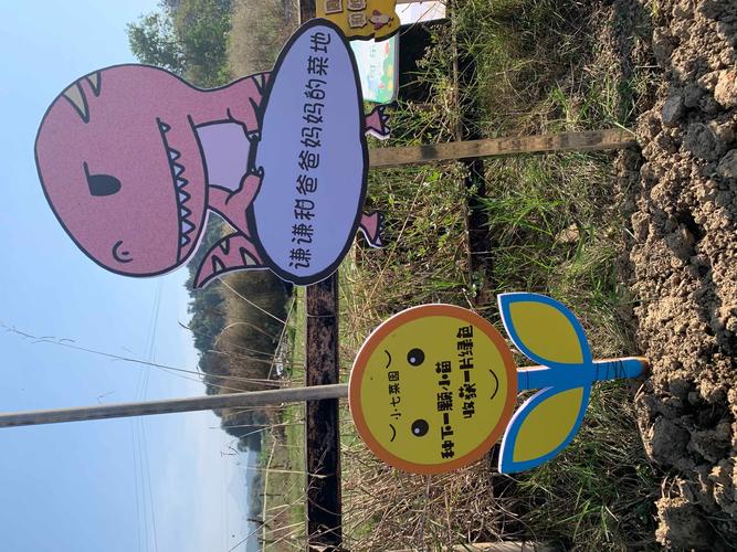 活动前准备 1,手工制作菜园牌(可参考图片) 2,家里不穿的衣服裤子可