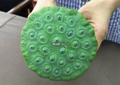 但是手残的记者,拿着莲蓬上看下看,左看右看,还是一脸懵,怎么都想象