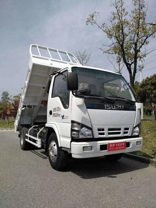 13米自卸车(ql3040zalhwj)  详情表 车型名称 庆铃 五十铃100p 130