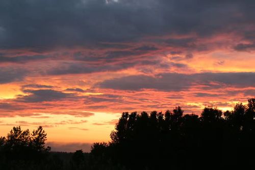 昆德拉说:在黄昏的余晖下,万物皆显温柔.