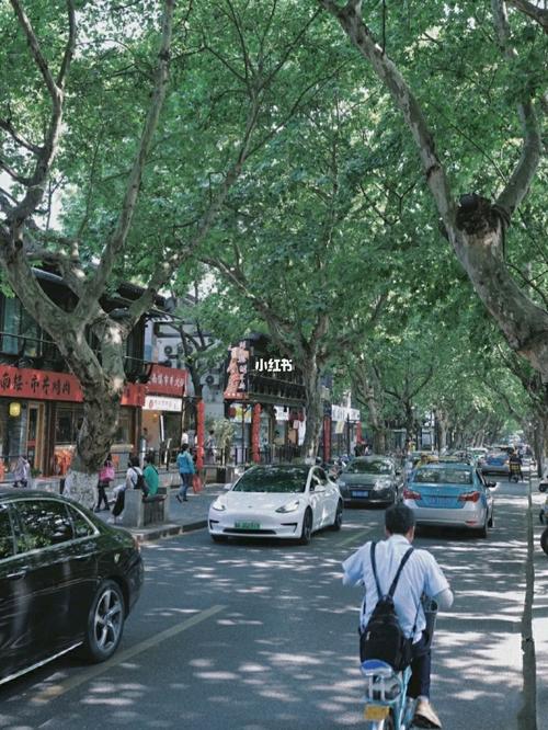 杭州城市街道 |99旅游约会散步| 好去处_夏天去哪玩