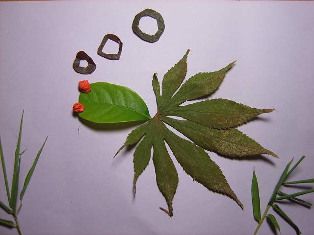树叶粘贴画怎么做蝴蝶教程及树叶贴画作品树叶粘贴画图片大全
