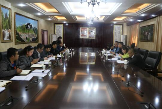 江达县委副书记,县长主持召开座谈会,县委常委,副县长,县政府