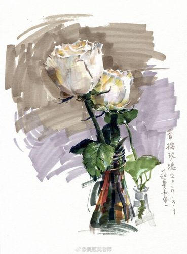 马克笔——香槟玫瑰