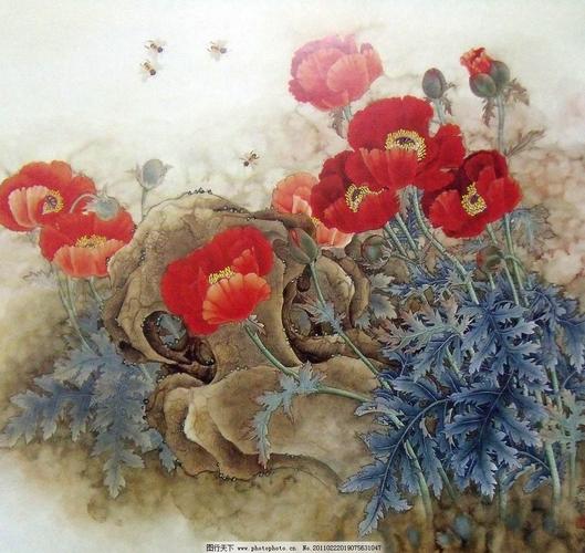 国画 罂粟花-国画 罂粟花图片