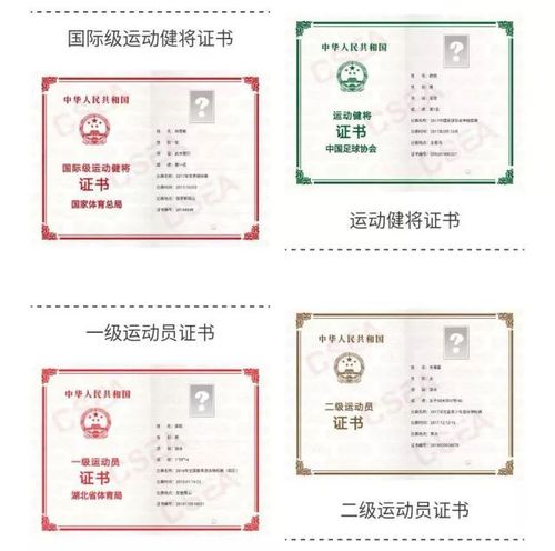 国家体育总局运动员技术等级证书申领工作正式开始,体
