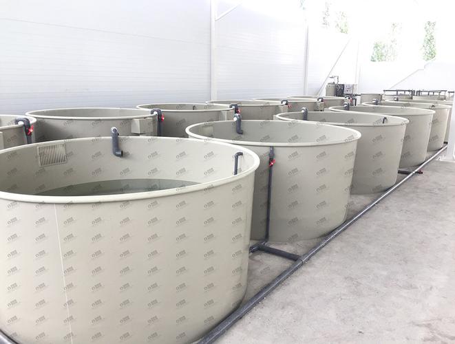 工厂化室内循环水水产养殖小型pp塑料海淡水可定制养殖鱼池