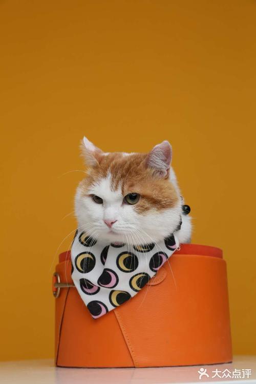 卖萌搞怪眯眼装睡抬头45角的仰视