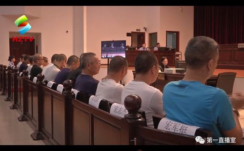 惠州市中院公开庭审陈江东升村"宏某挺"等16人涉黑团伙案