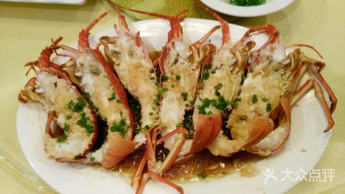 南沙渔港开边澳洲龙虾图片 - 第520张