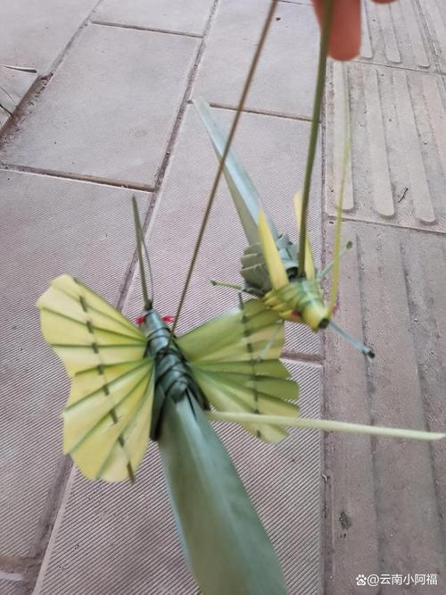 5块钱的草编蚂蚱和小蝴蝶就让孩子可以开心一天