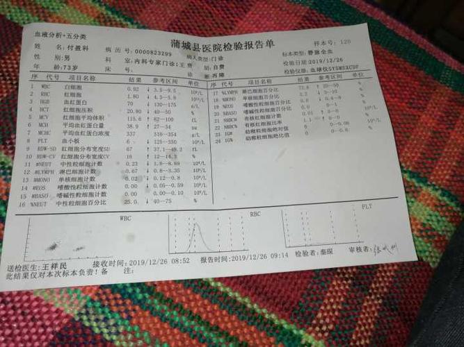 一个高三毕业的朋友得了白血病,无法参加高考,现在又复发了,没钱做