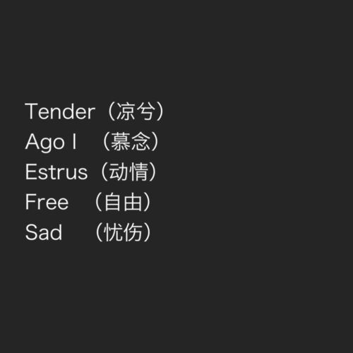 高质量心动英文网名