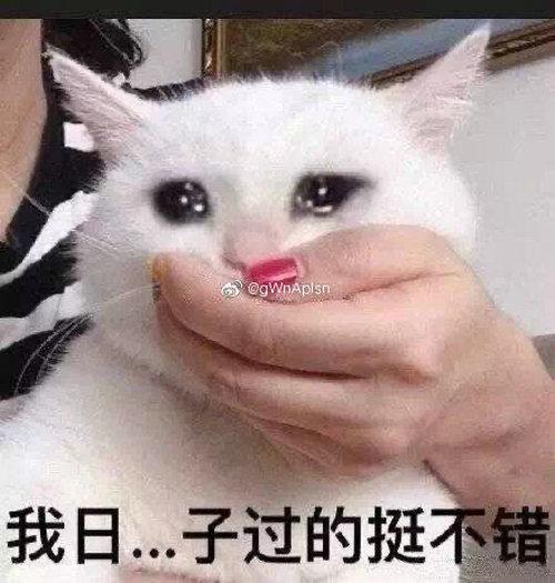 破防是什么意思 破防了是什么梗