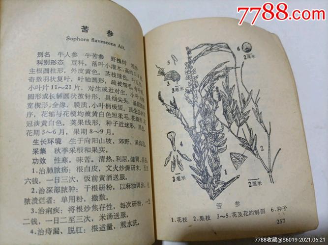 常用中草药_医书/药书_第7张_7788书籍