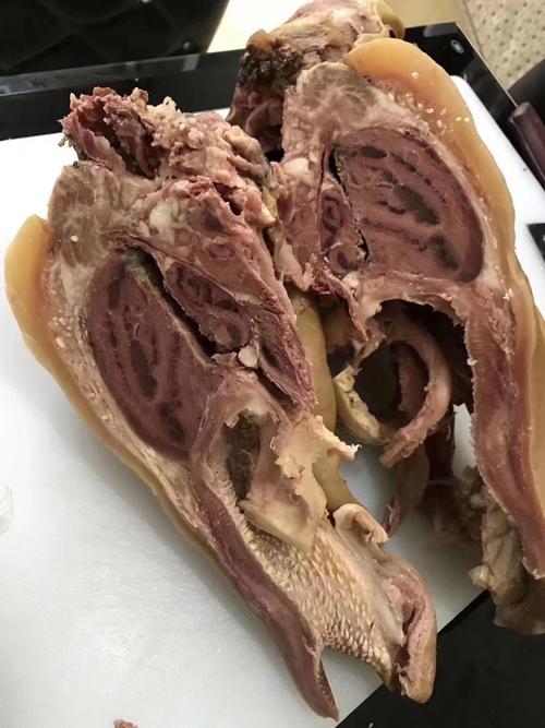 牛头肉 带皮黄牛肉