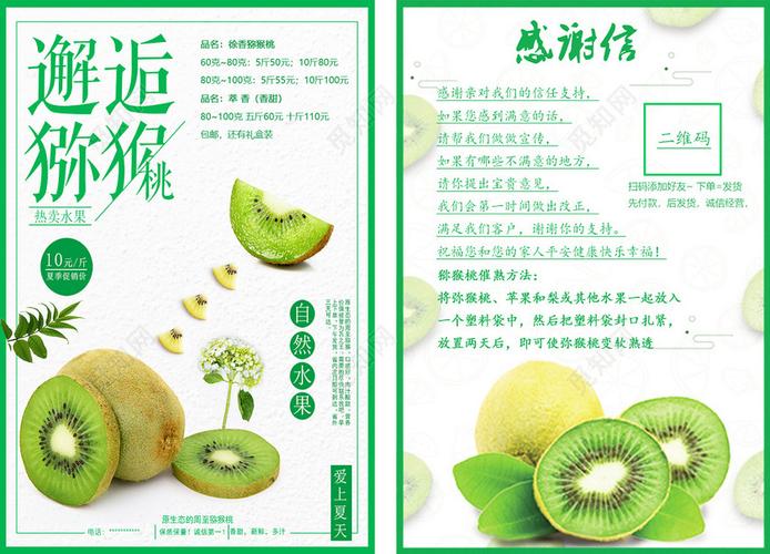 简约风邂逅猕猴桃水果促销海报设计