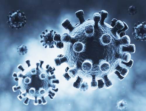 武汉新型冠状病毒全面信息及防护措施