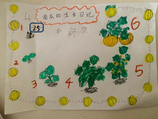 金色梯田幼儿园伦敦班—— 水果生长过程图"亲子绘画比赛"