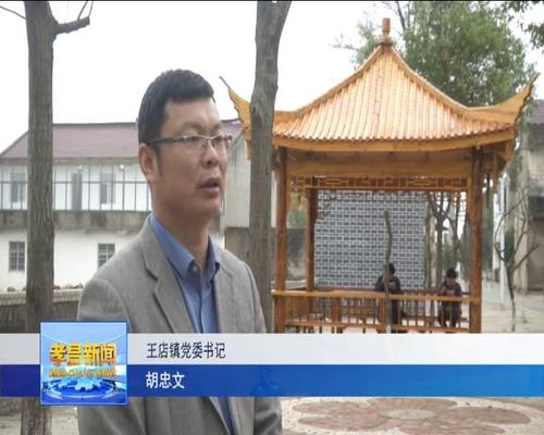 胡忠文:做好"领头雁" 激发乡村振兴澎湃动能