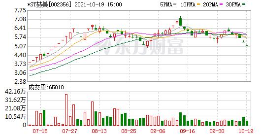 *st赫美(002356)龙虎榜数据(10-19)