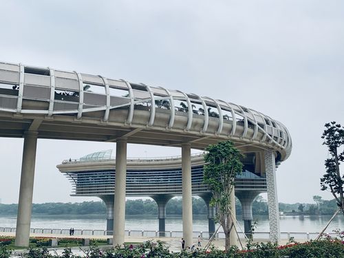 顺德中轴线公园—金凤凰