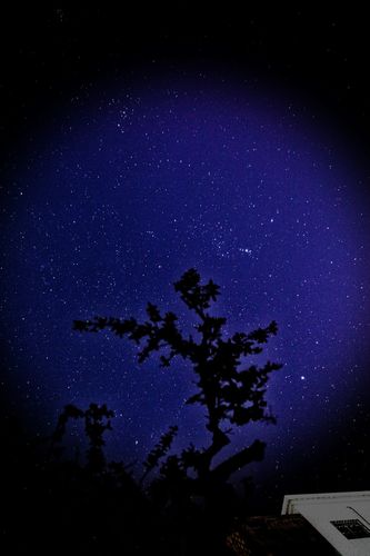 星光璀璨的元旦夜