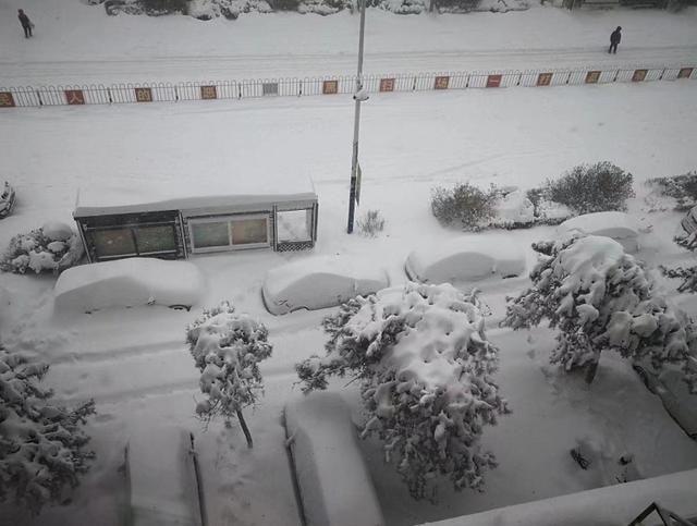 极寒暴风雪冰封通辽 专家称多地大暴雪或引发雪灾