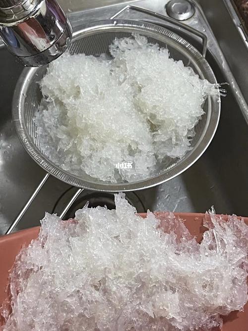 泡发好的燕窝_燕窝_医疗健康_养生食疗