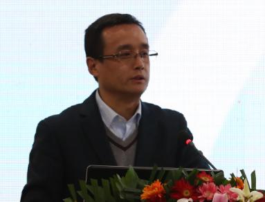 国家电网能源研究院副院长王耀华