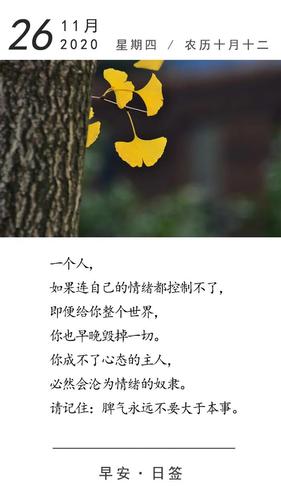 脾气永远不要大于本事