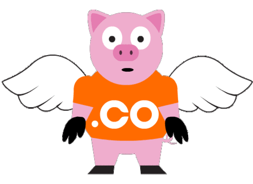 co飞天猪又出新表情啦!