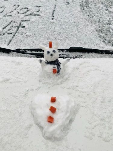 下雪啦!2021年南充第一场雪来了!受天气影响,南充这个