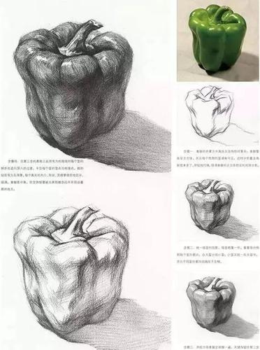 素描水果单体